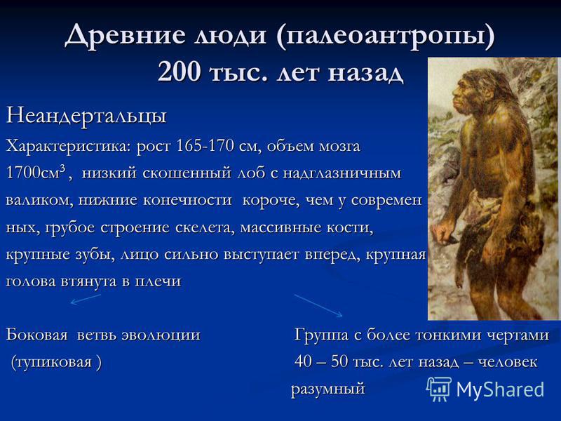 Древние люди характеристика таблица