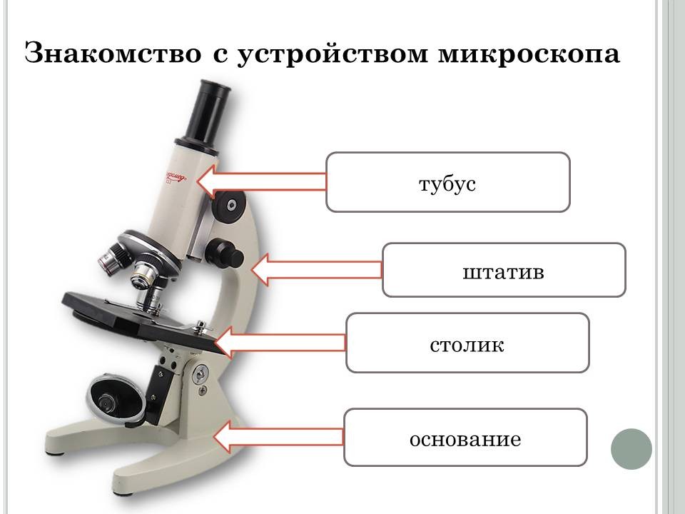 Строение микроскопа и функции его частей. Световой микроскоп строение микровинт. Строение штатива микроскопа. Строение микроскопа основание функция. Конструкция микроскопа.