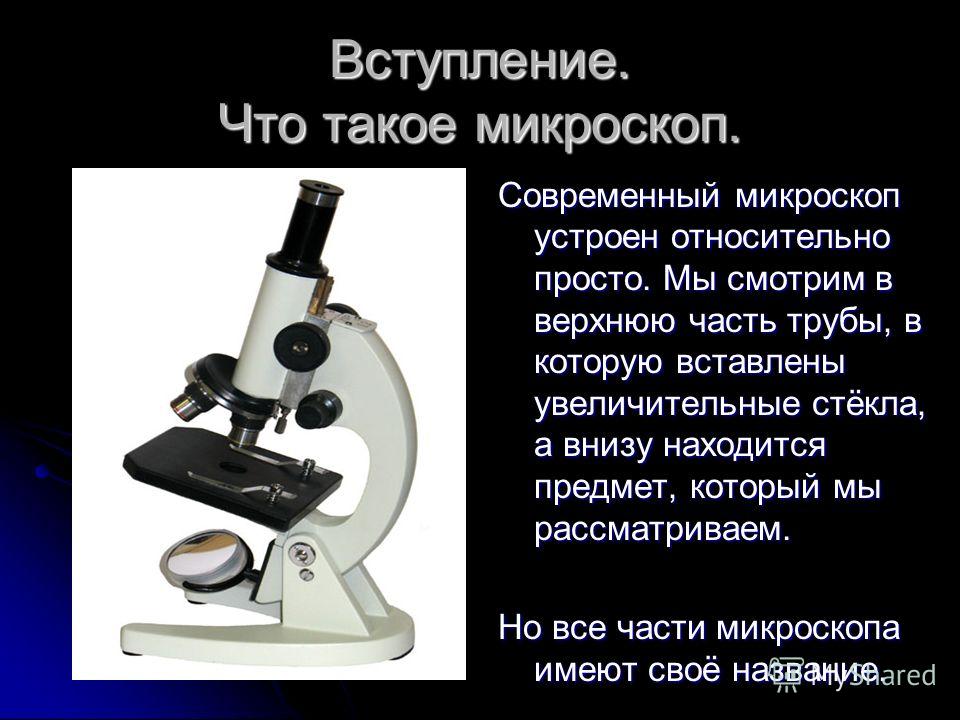 Что такое микроскоп. Сообщение о микроскопе. Доклад про микроскоп. Слайд для микроскопа. Доклад по биологии про микроскоп.